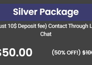 Logo Design Silver Package (Copy)
