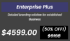 Website (Informative) Enterprise Plus